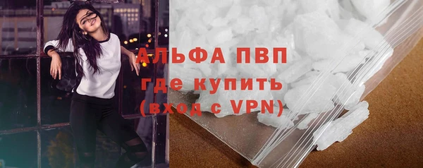 спиды Богородск