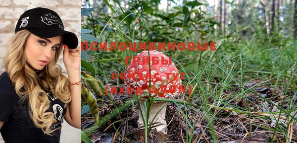 мдпв Богданович