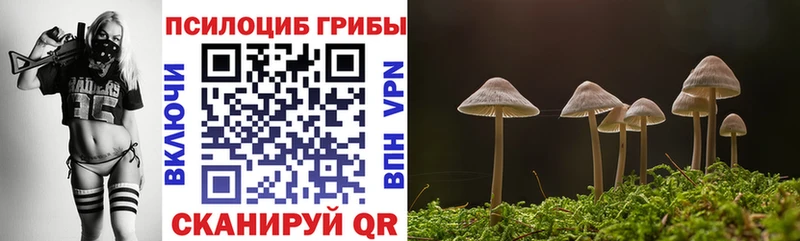 Псилоцибиновые грибы GOLDEN TEACHER  Трубчевск 