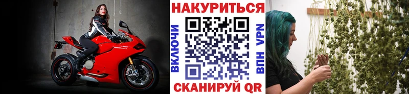 наркотики  Трубчевск  Каннабис SATIVA & INDICA 